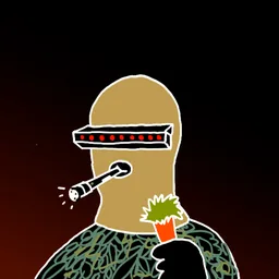 Robber #556